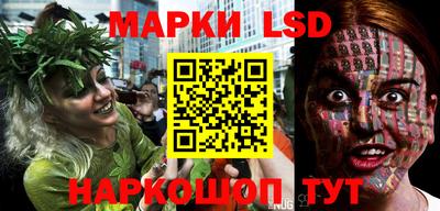 индика Новозыбков