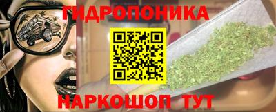 индика Новозыбков