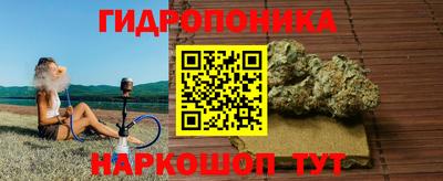 mdpv Новодвинск