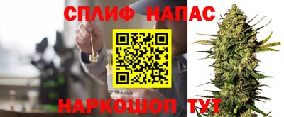 mdpv Новодвинск