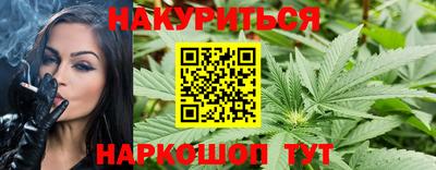 mdpv Новодвинск