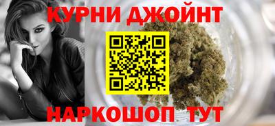 индика Новозыбков