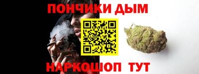 индика Новозыбков