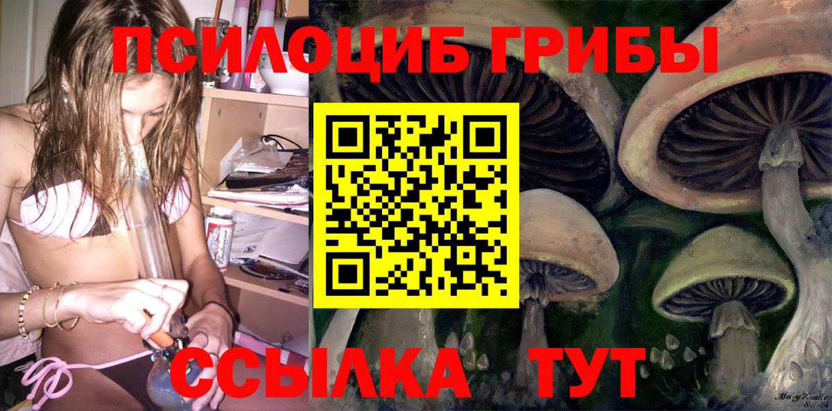 Псилоцибиновые грибы Magic Shrooms Чита